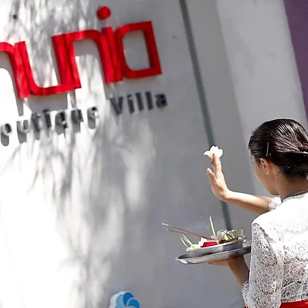 Nunia Boutique Private Villas